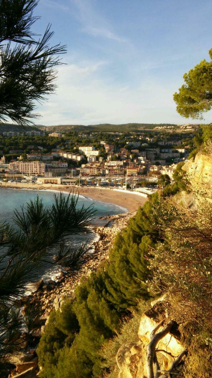 Le Mimosa * Cassis